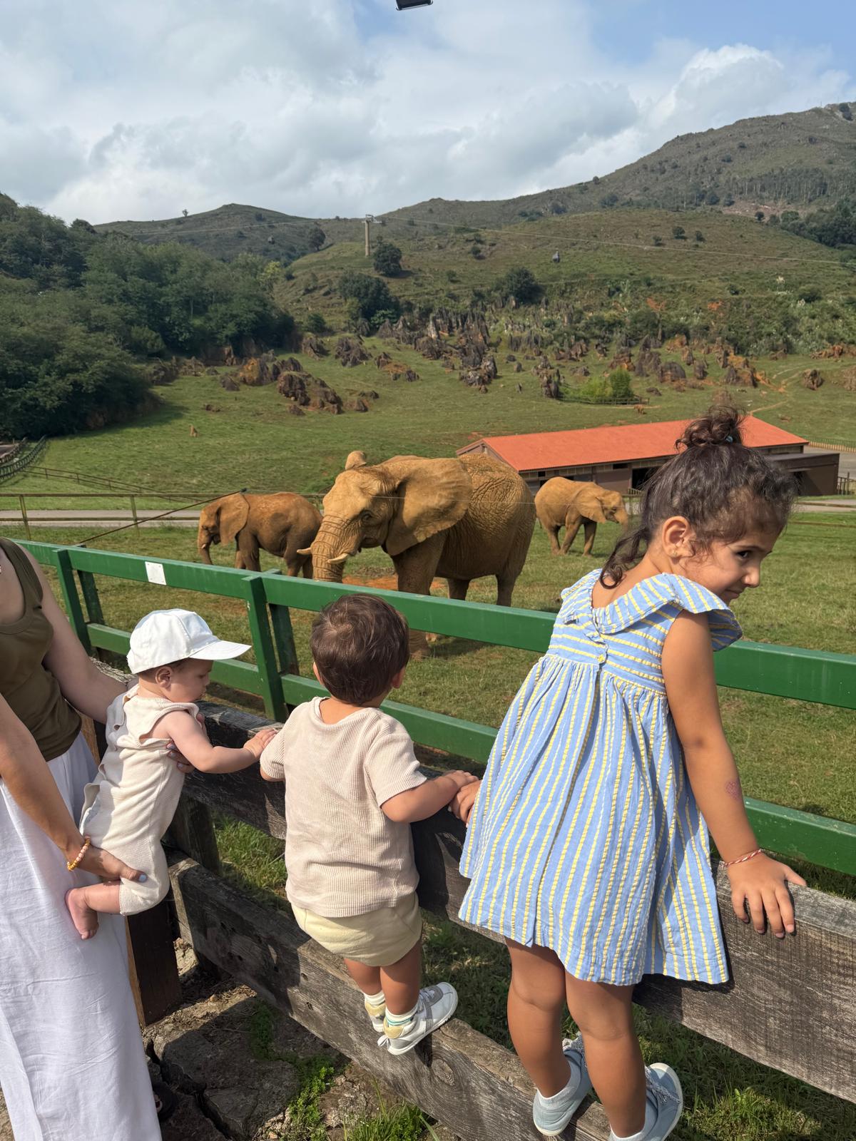 Odontopediatría en consulta EMME Dental